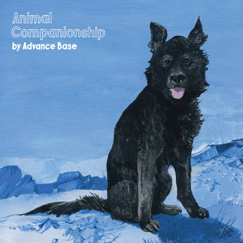 Animal Companionship [LP] (Clear Vinyl)