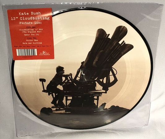 Cloudbusting [12" Picture Disc Vinyl]